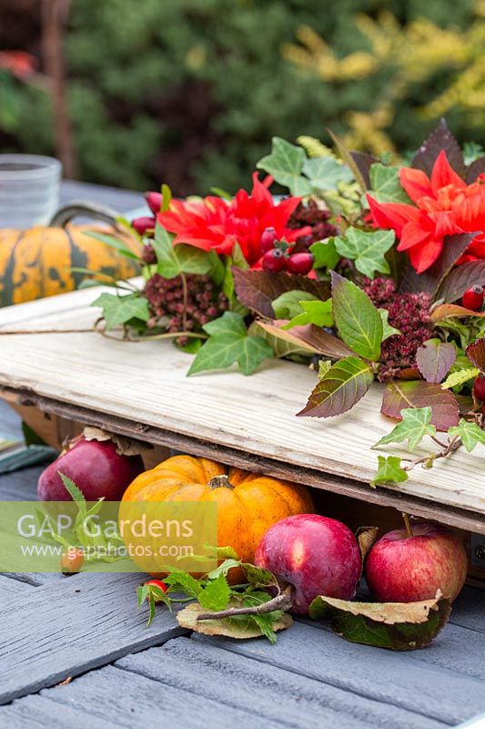 Autumnal floral arrangement, surrounded by autumnal pumpkins and apples.