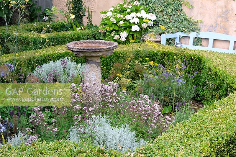 Herb garden with box hedges and a central bird bath surrounded by santolina, marjoram and fennel