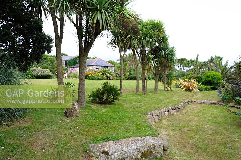 A line of cordylines filters prevailing winds from the garden on the lawn below the house. A shallow retaining wall in front of them manages a change in levels.