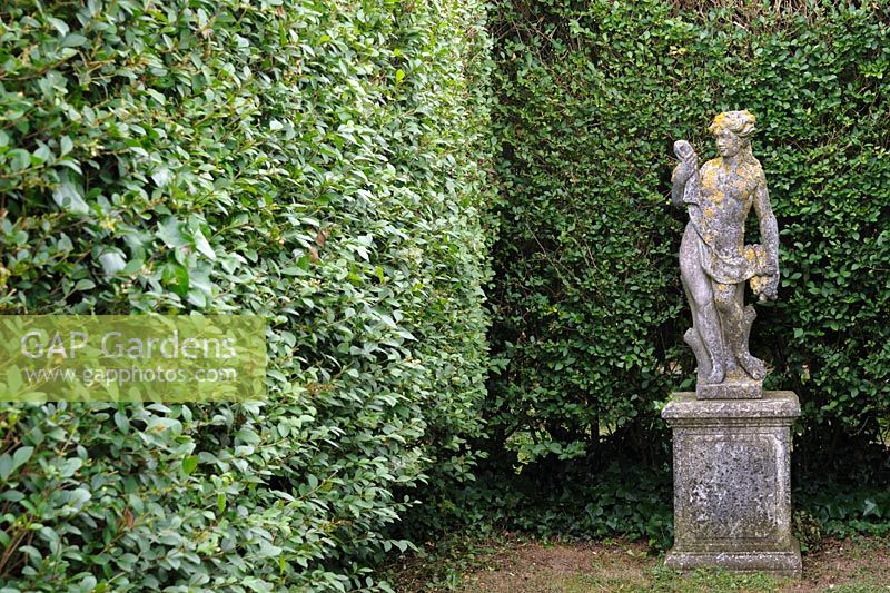 Reproduction of a classical sculpture inside a maze of privet hedges that provides protection from prevailing winds