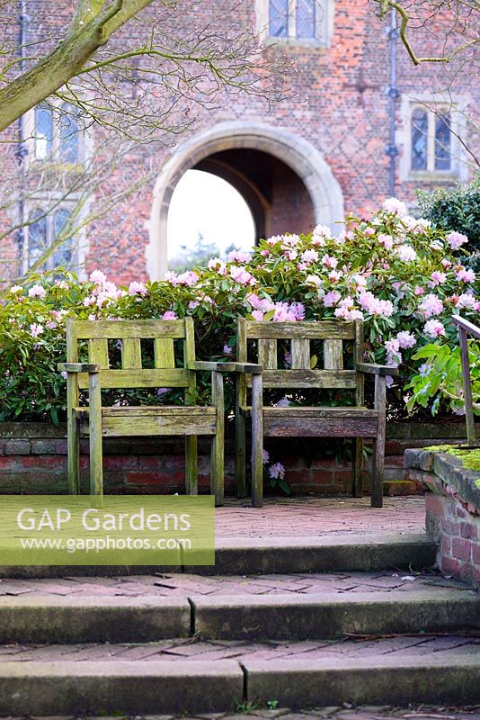 Wooden seats with pink rhododendron and historic gatehouse at Hodsock Priory, Blyth, Nottinghamshire