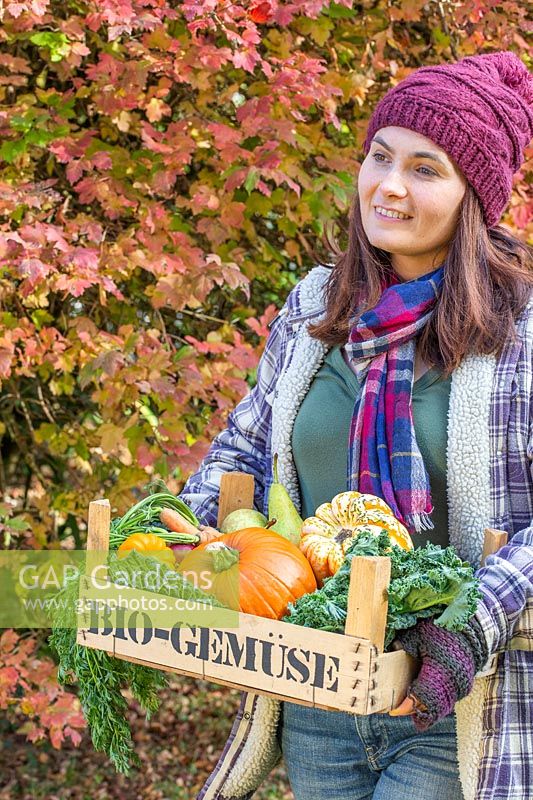 Woman carrying crate of organic, autumn-harvested vegetables.