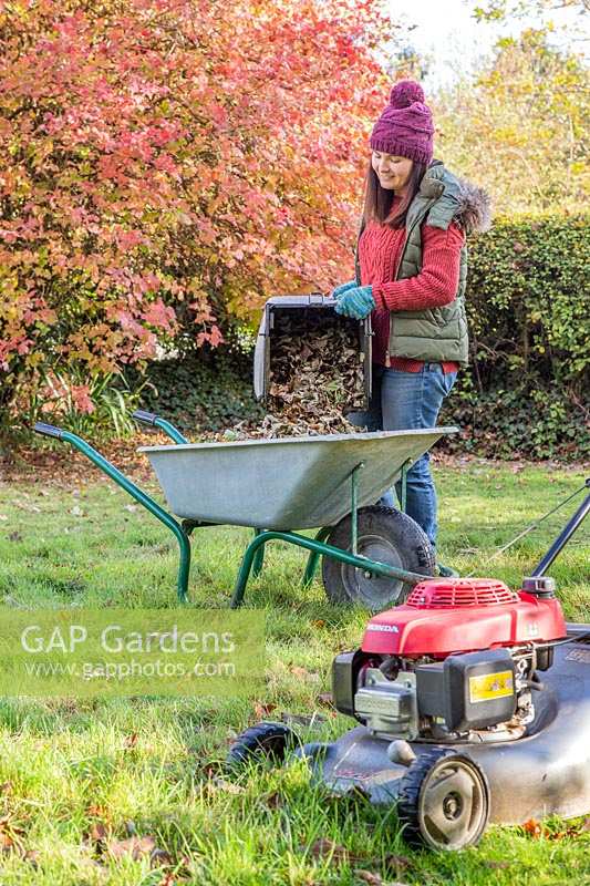 Woman emptying contents of lawn mower grass box into wheelbarrow.