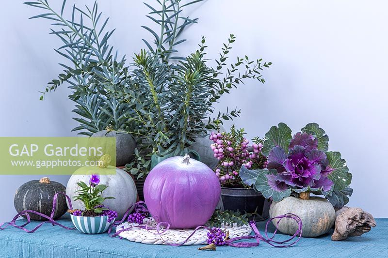 Purple, white and blue autumnal arrangement, with pumpkins, ornamental cabbages, Pernettya, Viola and cut foliage.