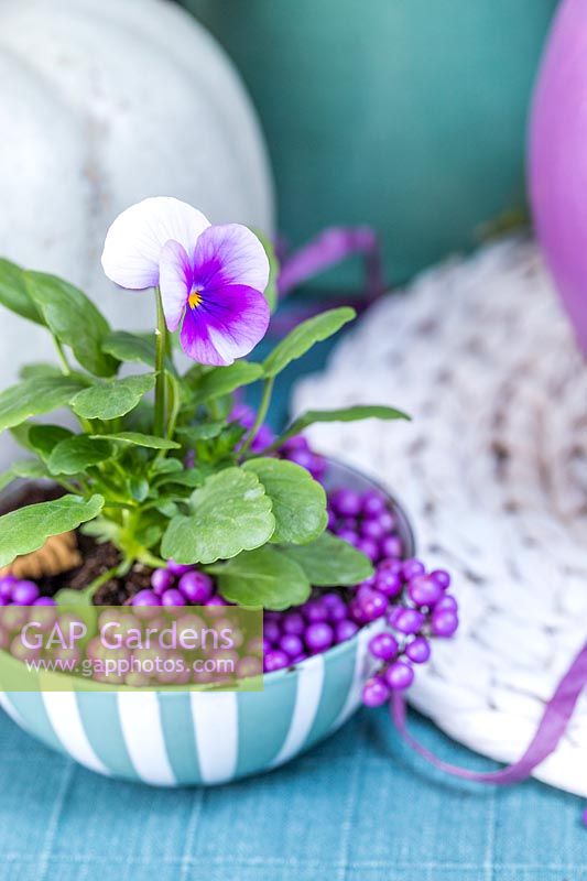 Small bowl of Callicarpa berries and flowering Viola.