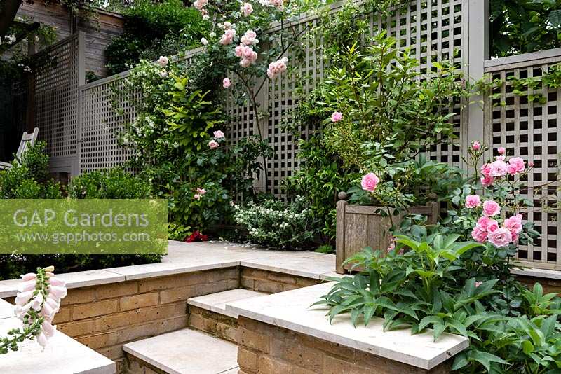 Secluded courtyard with trellis fencing, steps  and brick walls