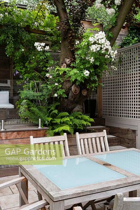 Secluded garden in two levels, dining furniture and trellis fencing