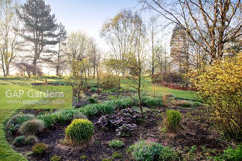 Early spring growth, Foggy Bottom Garden, Bressingham Gardens, Norfolk, UK 