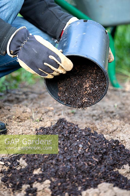 Adding bark to soil to prepare ground for planting.
