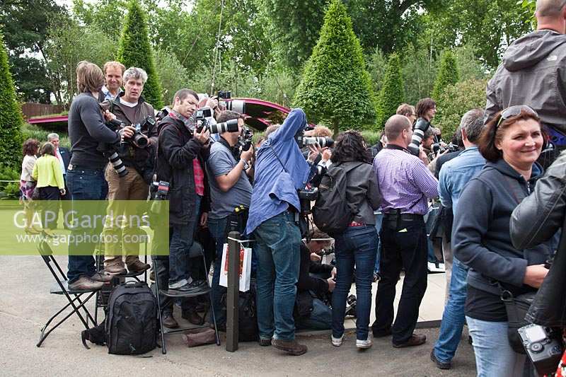 Photographers on Press Day at Chelsea Flower Show 