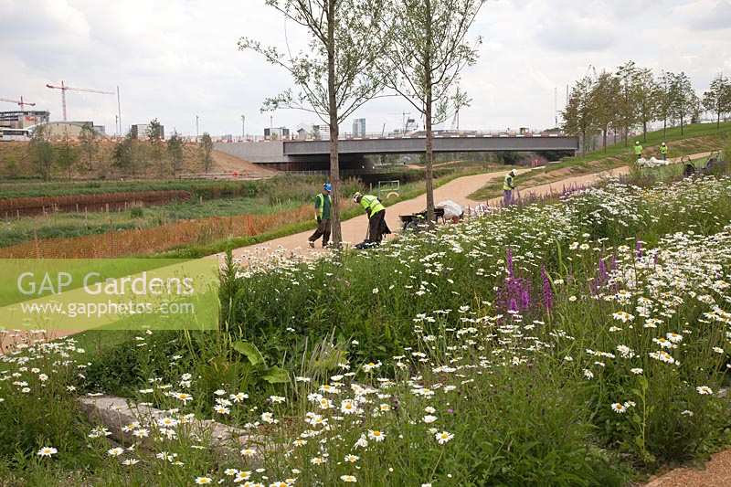 Naturalistic landscaping and planting at Olympic Stadium North Park, Stratford, London, 2011