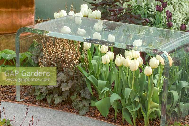 Clear modern garden bench, underplanted with flowering Tulipa and Heuchera. The Roald Dahl Foundation Garden, RHS Chelsea Flower Show 2005, London, UK.