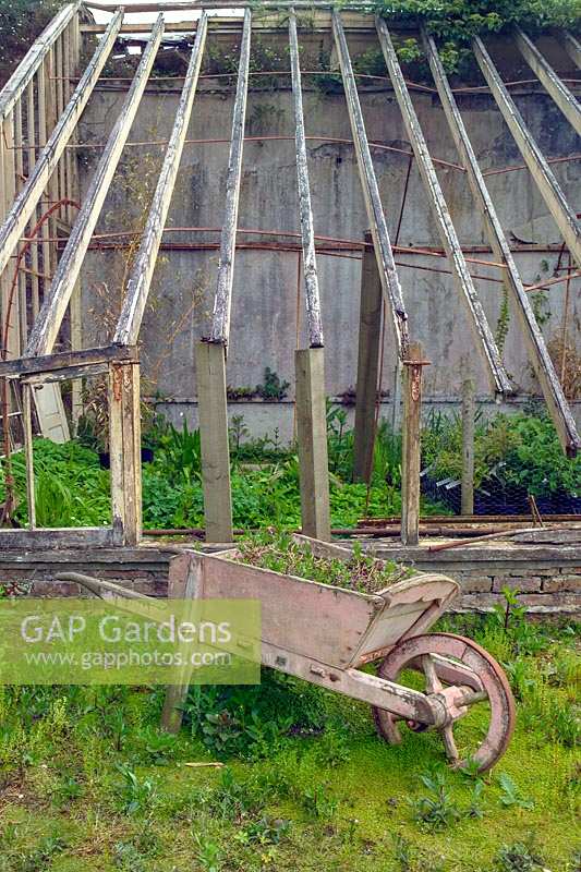 Disused Greenhouses with ancient wheelbarrow. Trevarno Estate, Cornwall, UK.