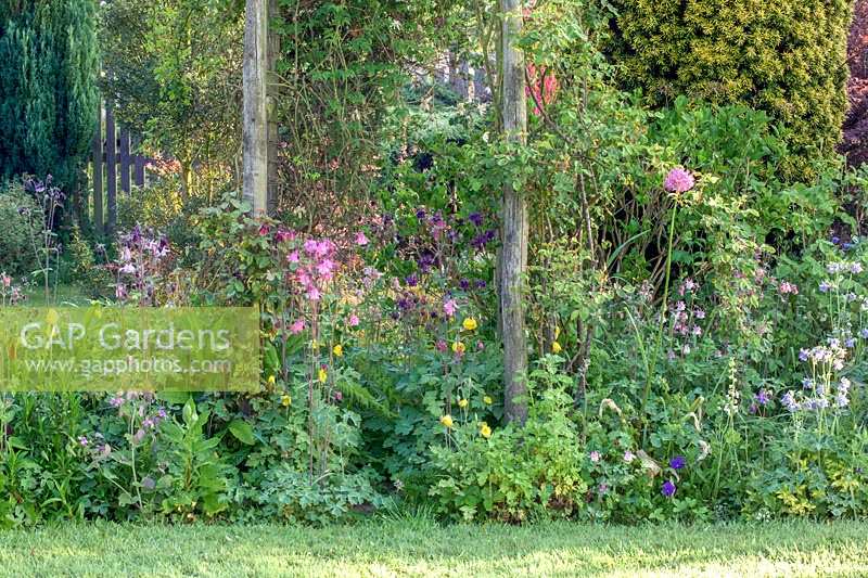 Early-summer, cottage-style garden borders. Elworthy Cottage, Somerset, UK. 
