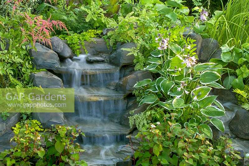 Tumbling stream surrounded with Hostas and ferns. The Harmony Garden. Hampton Court Flower Show, 2003, London, UK. 