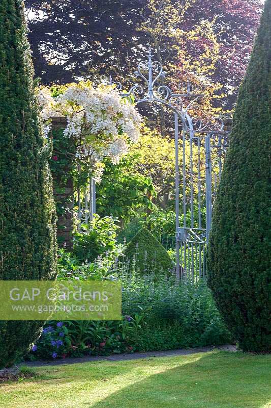 Elegant metal gate - Peter Owen's garden, Watcombe, in Somerset, UK