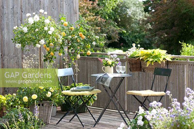 Balcony with decking and wood rails, with seating, table and decorated with planted containers including standard Rosa - roses

