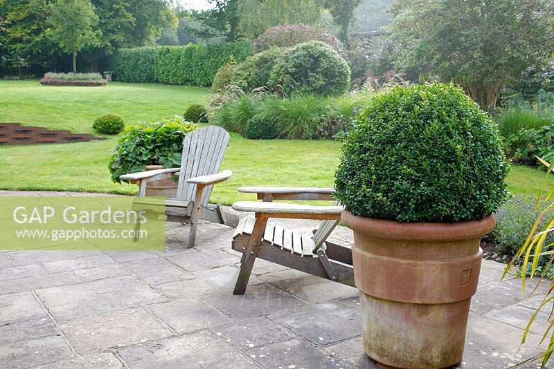 Buxus - box ball in an Italian Terrace terracotta pot on a terrace with wooden seats. Brookside