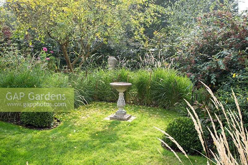 Stone bird bath surrounded by border of Pennisetum 'Fairy Tails' and Buxus - box balls. 