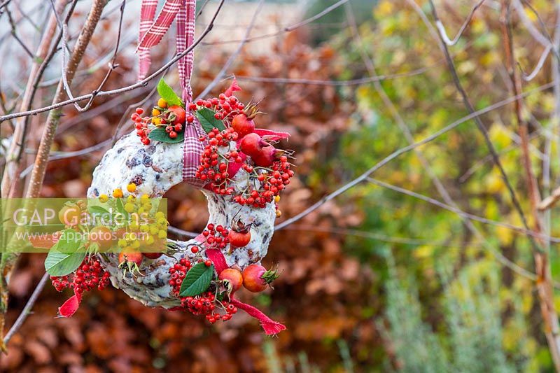 View of finished Bundt cake bird feeder hanging from tree.