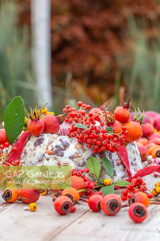 View of bundt cake bird feeder decorated with rose hips and Cotoneaster berries.