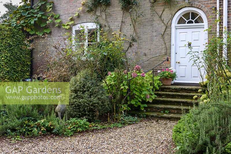 Planting around entrance - Thundridge Hill House Garden, Hertfordshire, UK