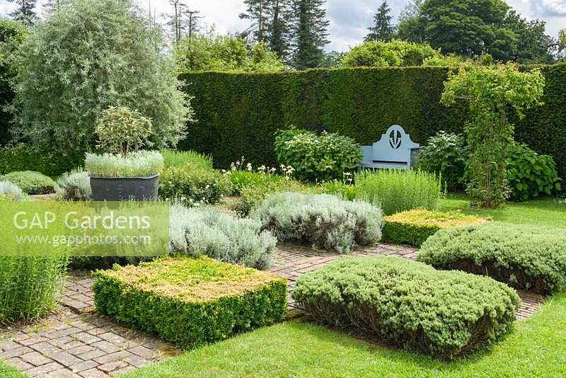 Grey and White Garden with drought resistant plants