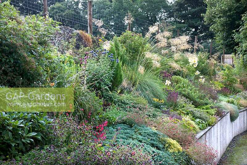The sloping raised stable border with ornamental grasses, rock plants and herbaceous perennials. 