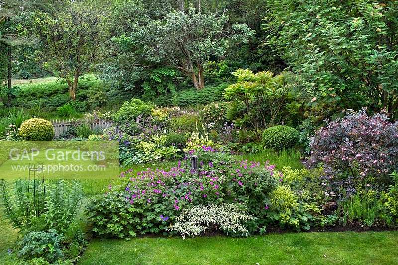 Cottage garden with lawns and curved borders. 