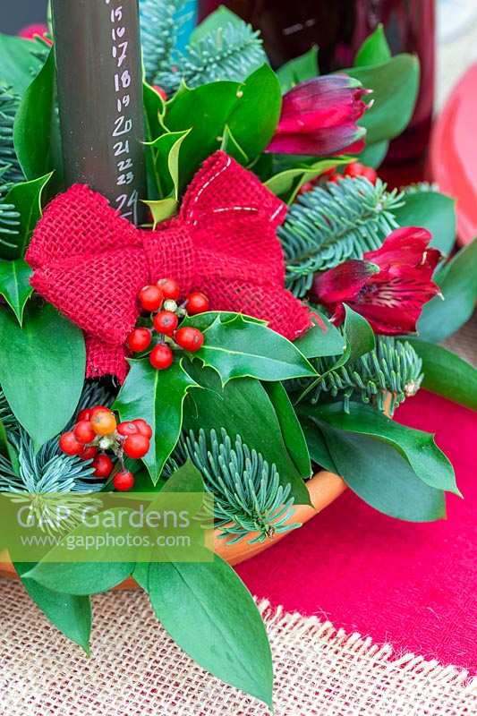 Close up of Christmas advent candle arrangement, with blue pine, ruscus, Ilex - Holly, and red Alstromeria flowers.
