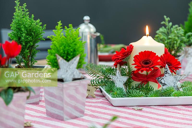 Festive red, white and green table decor, with blue pine and Gerbera candle arrangement centrepiece.