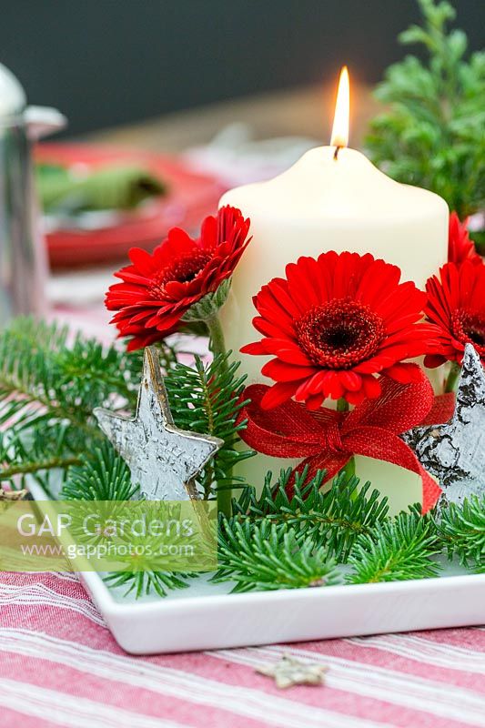 Festive red, white and green candle centrepiece, with blue pine and cut Gerberas.