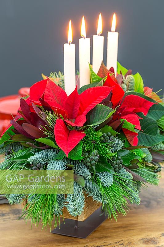 View of finished Christmas table centrepiece with lit candles, pine, Leucadendron and red poinsettias.