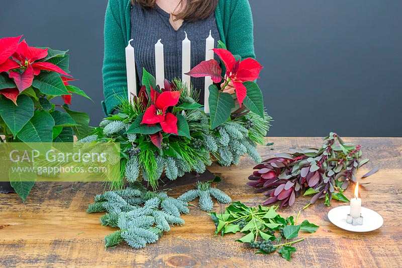 Woman inserting cut poinsettia stem into christmas candle arrangement.