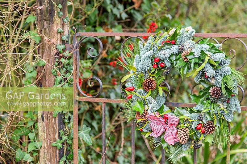 Decorative Christmas wreath hanging on metal garden gate.