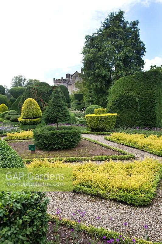 box-edged borders and unusual topiary shapes at Levens Hall and Garden, Cumbria, UK