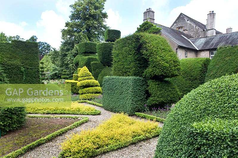 Box edged borders and unusual topiary shapes, Levens Hall and Garden, Cumbria, UK