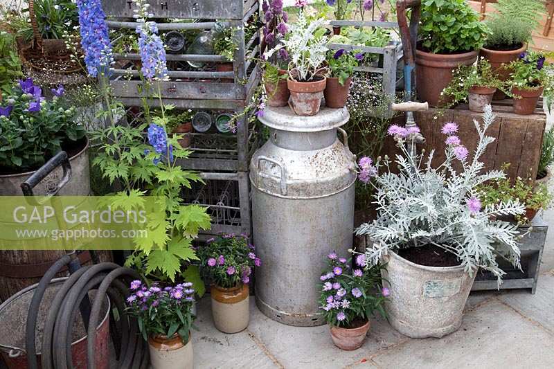 Greenhouse with accessories, potted plants and milk churns. 