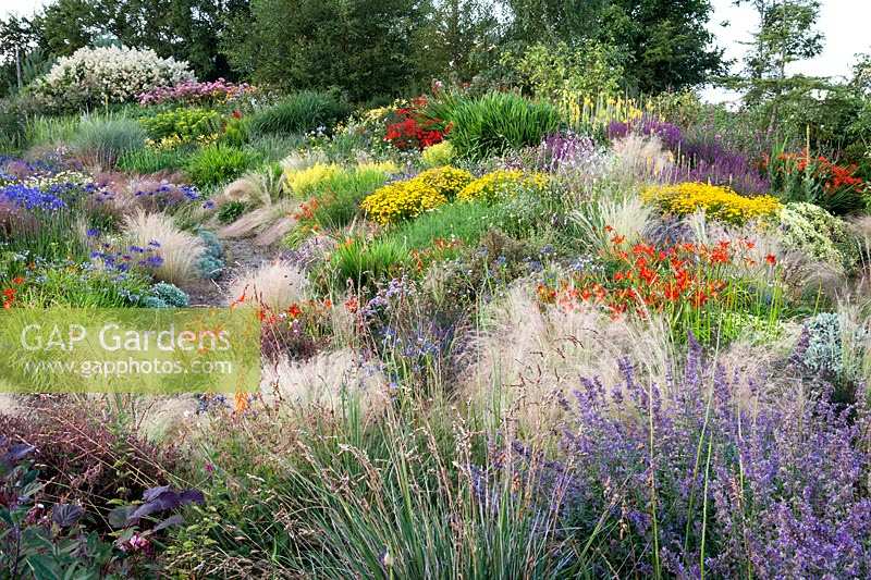 Colourful mixed planting of perennials including ornamental grass Stipa tenuissima and Nepeta 'Walkers Low'