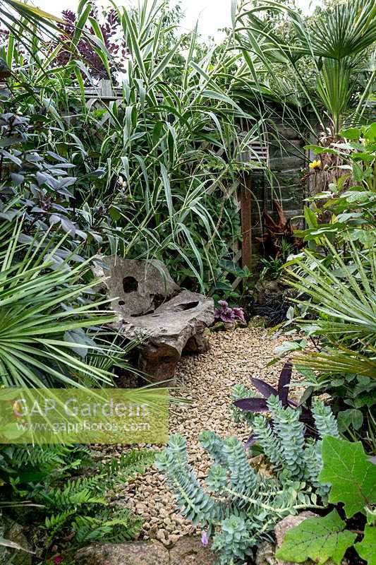 Step down from the lawn leads to gravel area and seat surrounded by exotic foliage planting. 