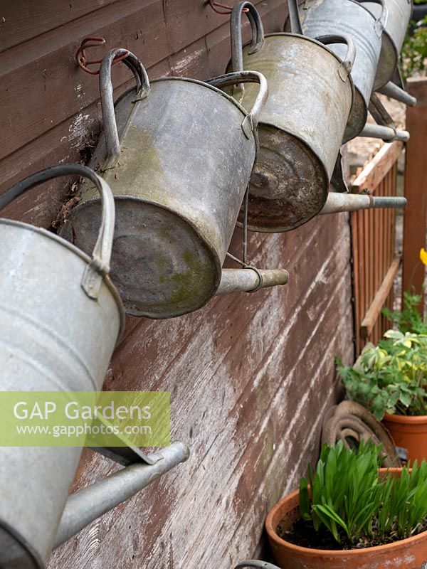 Watering cans ready for use - vintage tools.
