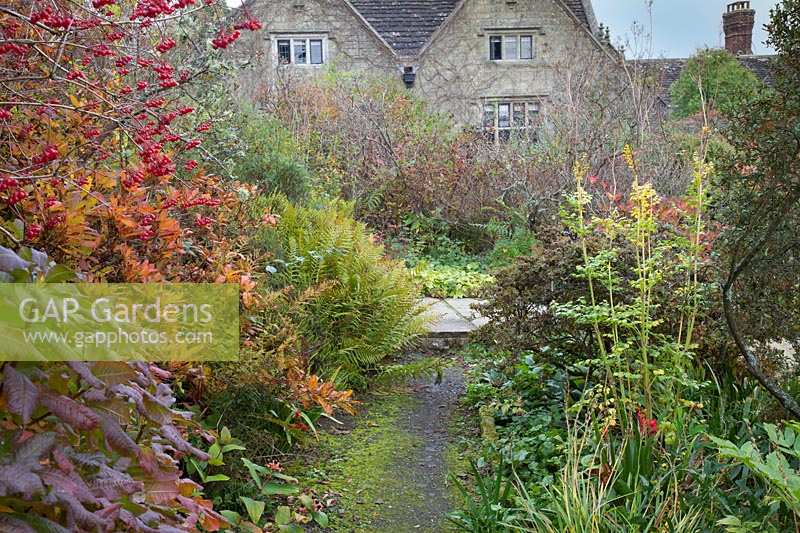 Mossy pathway through ferns, colourful shrubs and berries in autumn garden. Gravetye Manor, Sussex, UK. 