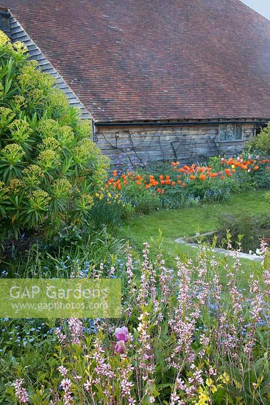 View of old barn in the Sunk Garden with colourful spring planting. Great Dixter Gardens, Sussex, UK.
