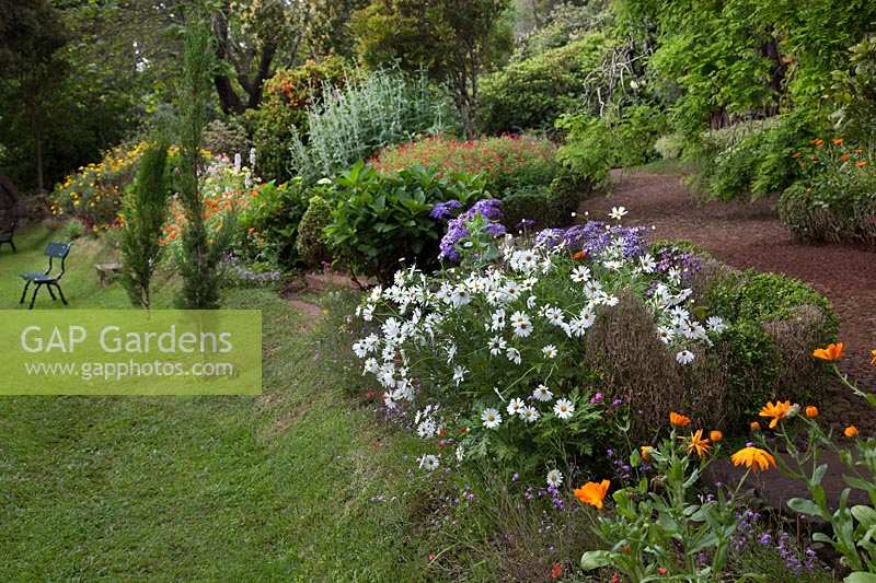 Colourful borders including Argyranthemum foeniculaceum - Marguerite at Palheiro's Garden, Funchal, Madeira.