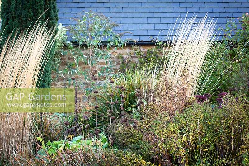 Seedheads and grasses in a late autumn border at Pettifers