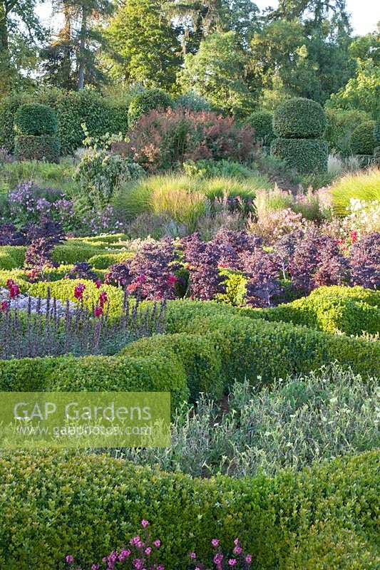 Contemporary parterre planted with snapdragons, Ageratum 'High Tide', Nicotiana sanderae 'Cuba Deep Lime', and purple kale 
Garden: Broughton Grange, Oxfordshire 
Head gardener: Andrew Woodall