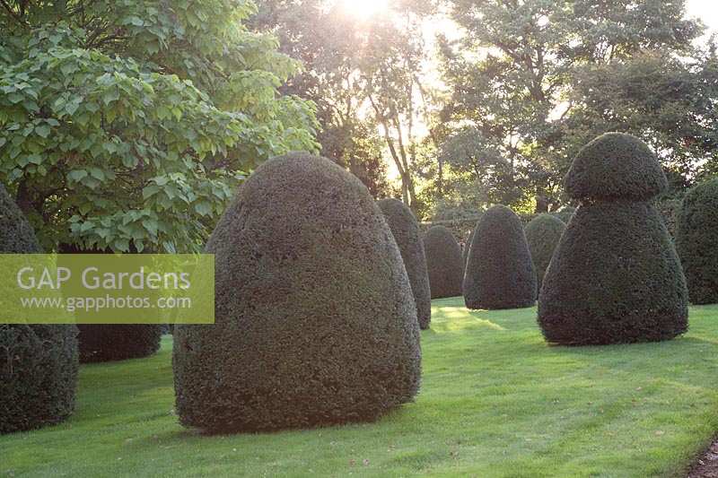 Clipped yew topiary 
Garden: Broughton Grange, Oxfordshire 
Head gardener: Andrew Woodall