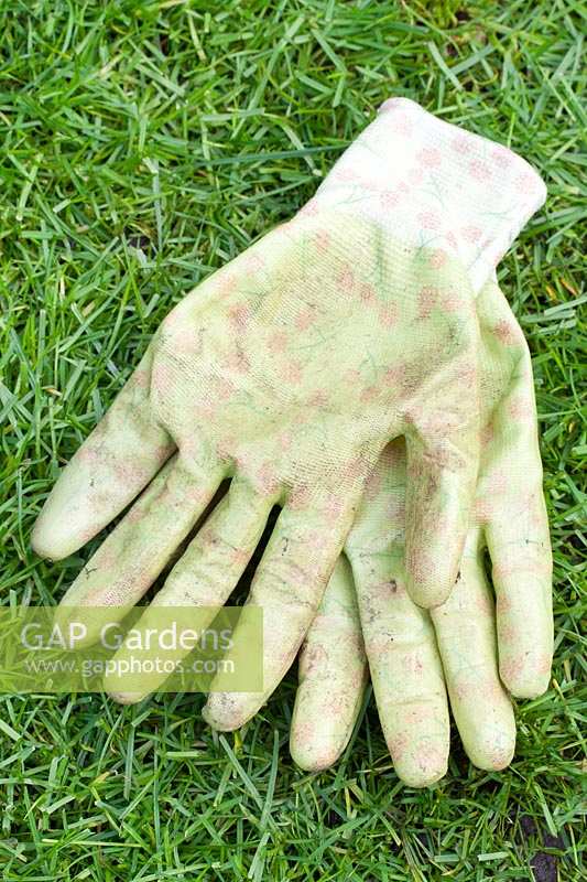 A pair of old worn gardening gloves. 