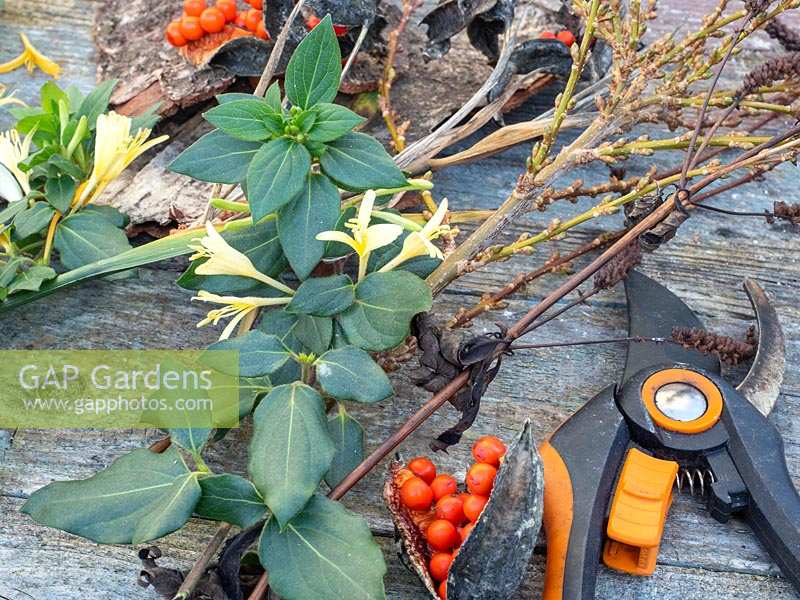 Secateurs and flowers from the garden including Lonicera, Helleborus, Iris foetidissima and Forsythia. 