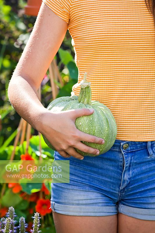 Woman holding recently harvested pumpkin.
